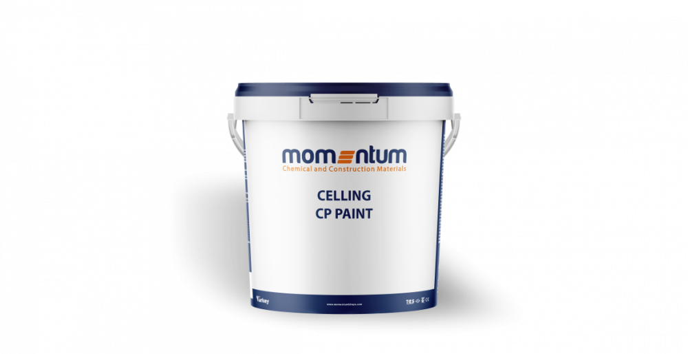 Ceiling Paint